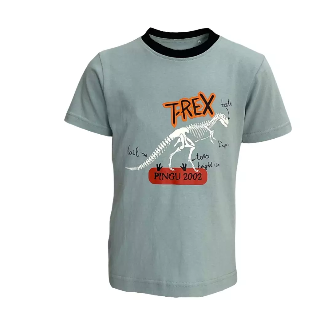 Pingu Kaos Anak Laki Laki Sablon T-Rex Tosca 92002427