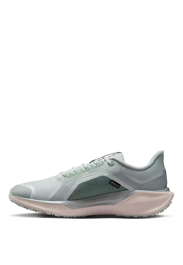 Air Zm Pegasus 41 Gtx