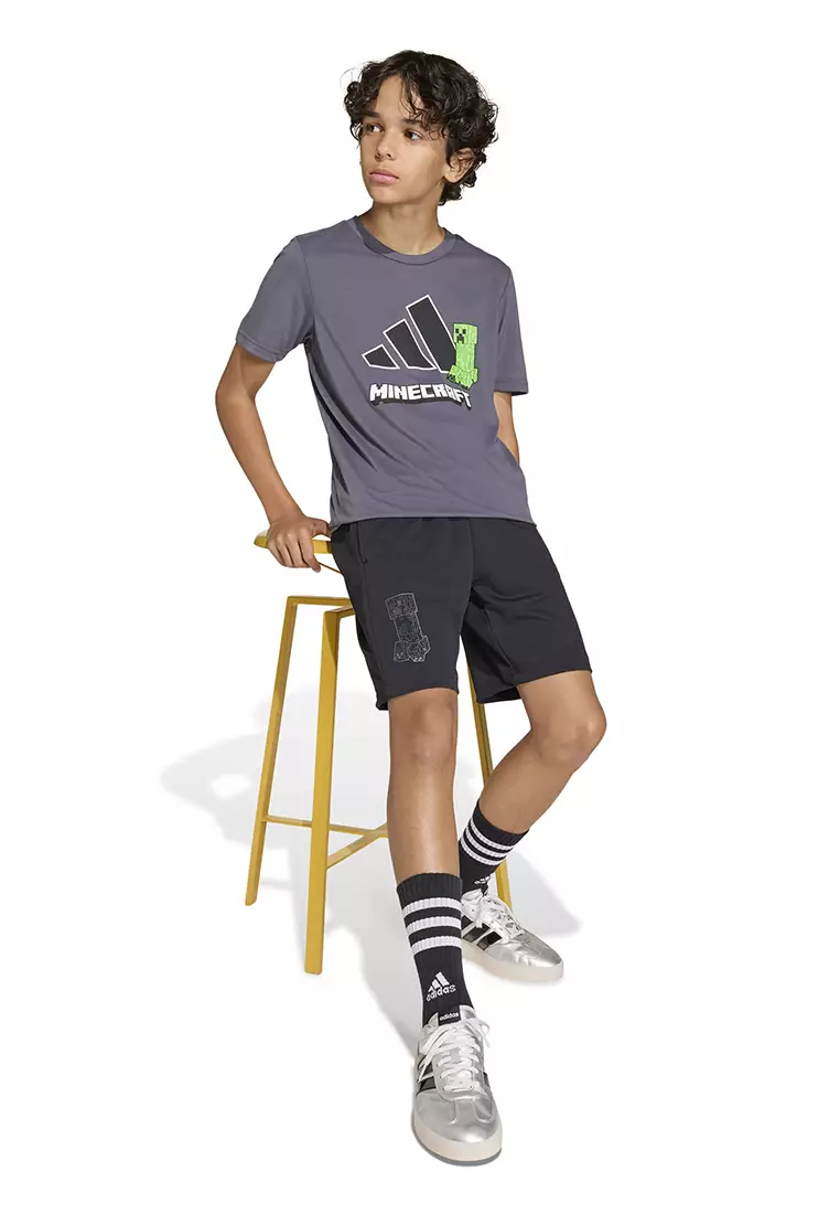 Minecraft Training Shorts