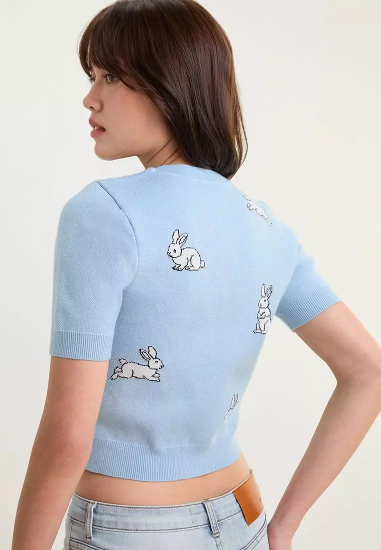 Embroided Bunny Knit Crop Top - Blue