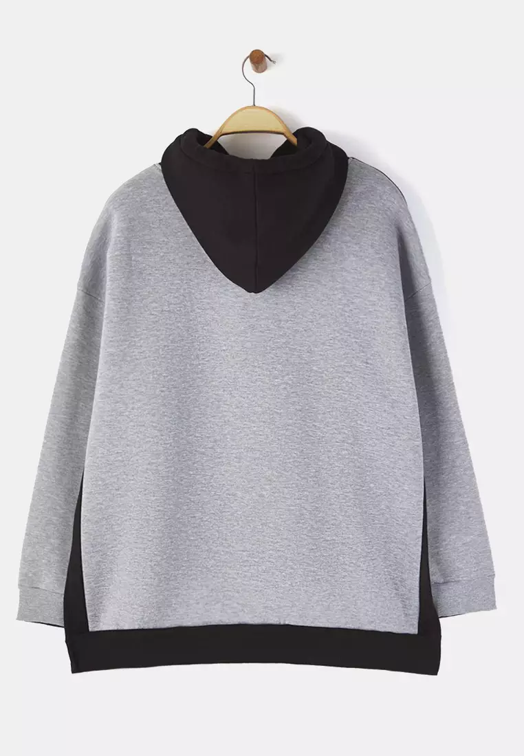 Plus Size Color Block Hooded Sweatshirt