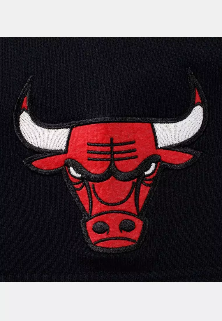 Chicago Bulls Team Origins Training Shorts for Men