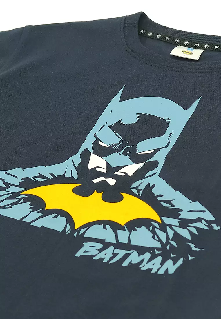 Boys Licensed Graphic T-Shirt Shatter