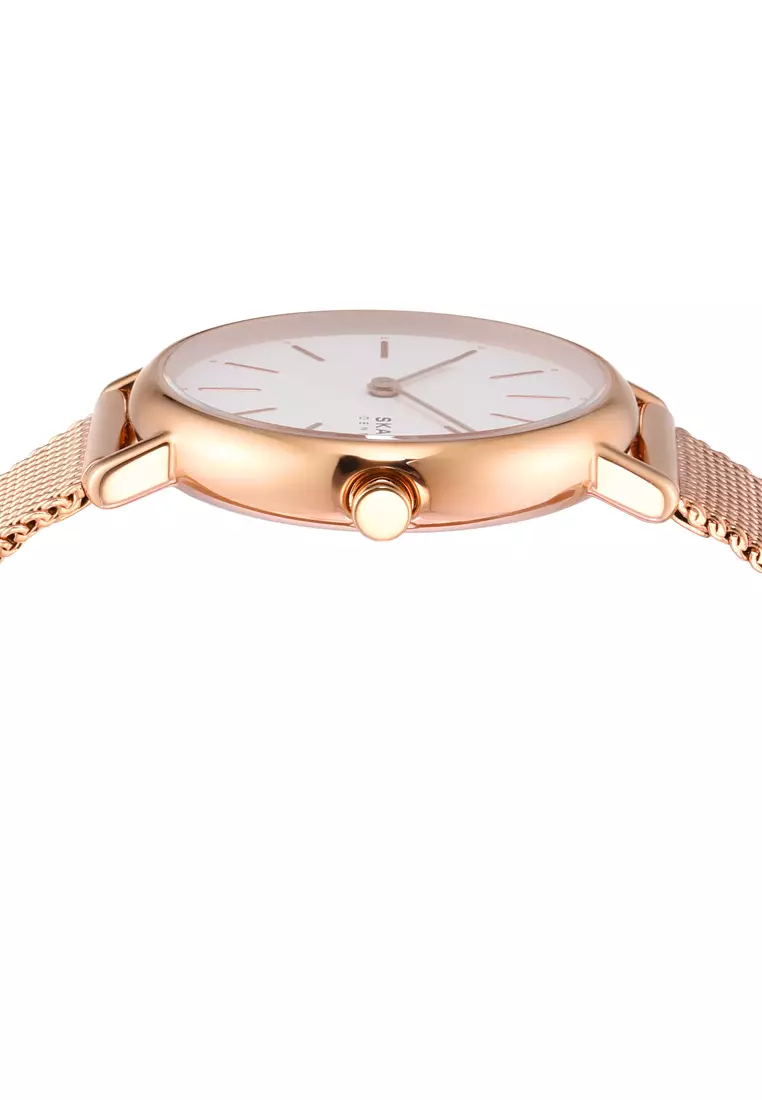 Skagen women's sales watch set