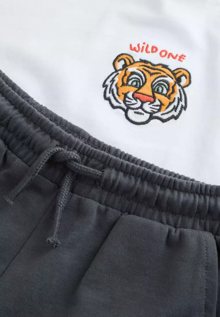 Short Sleeve T-Shirt and Shorts Set