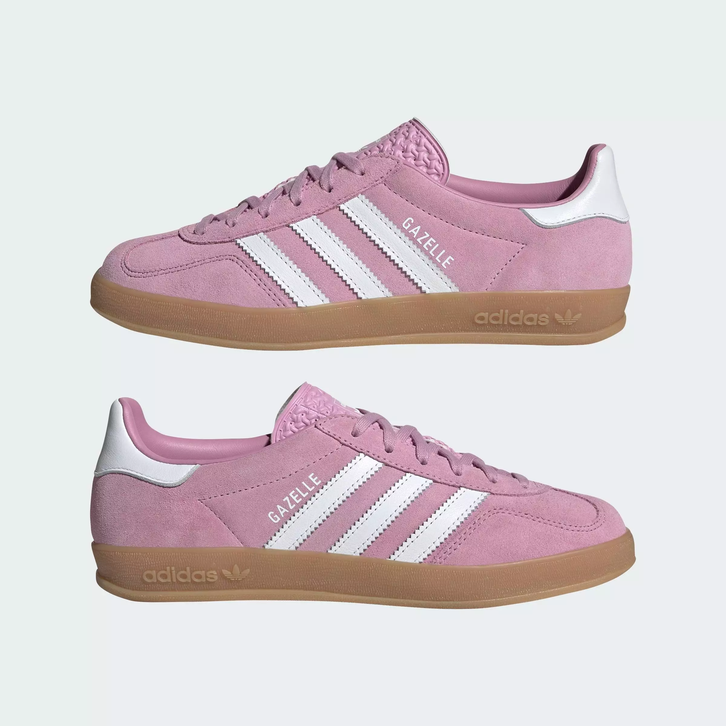 Gazelle Indoor W