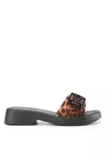 Black/Tortoiseshell