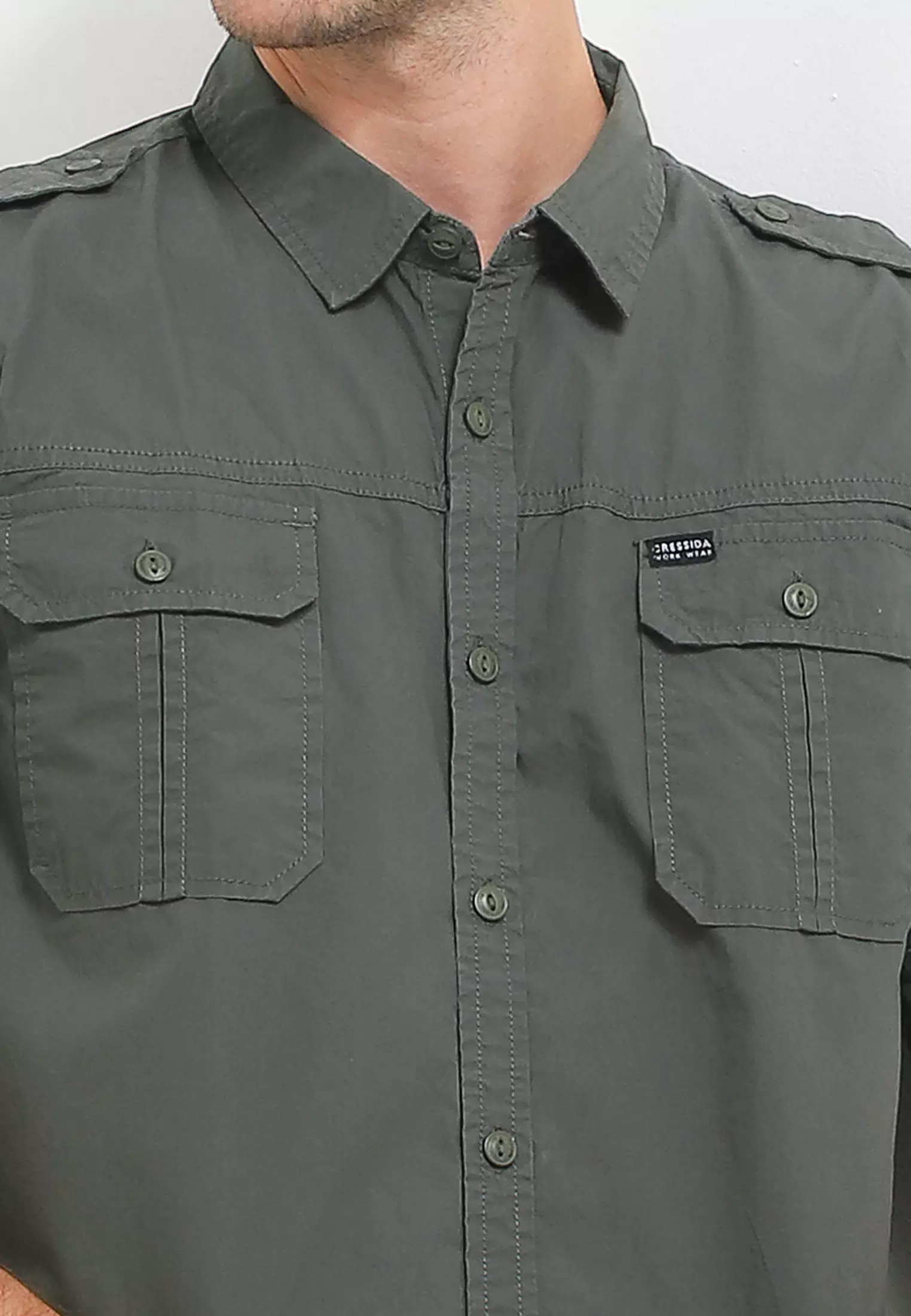 Cressida Regular Fit Work Shirt L145G - Green