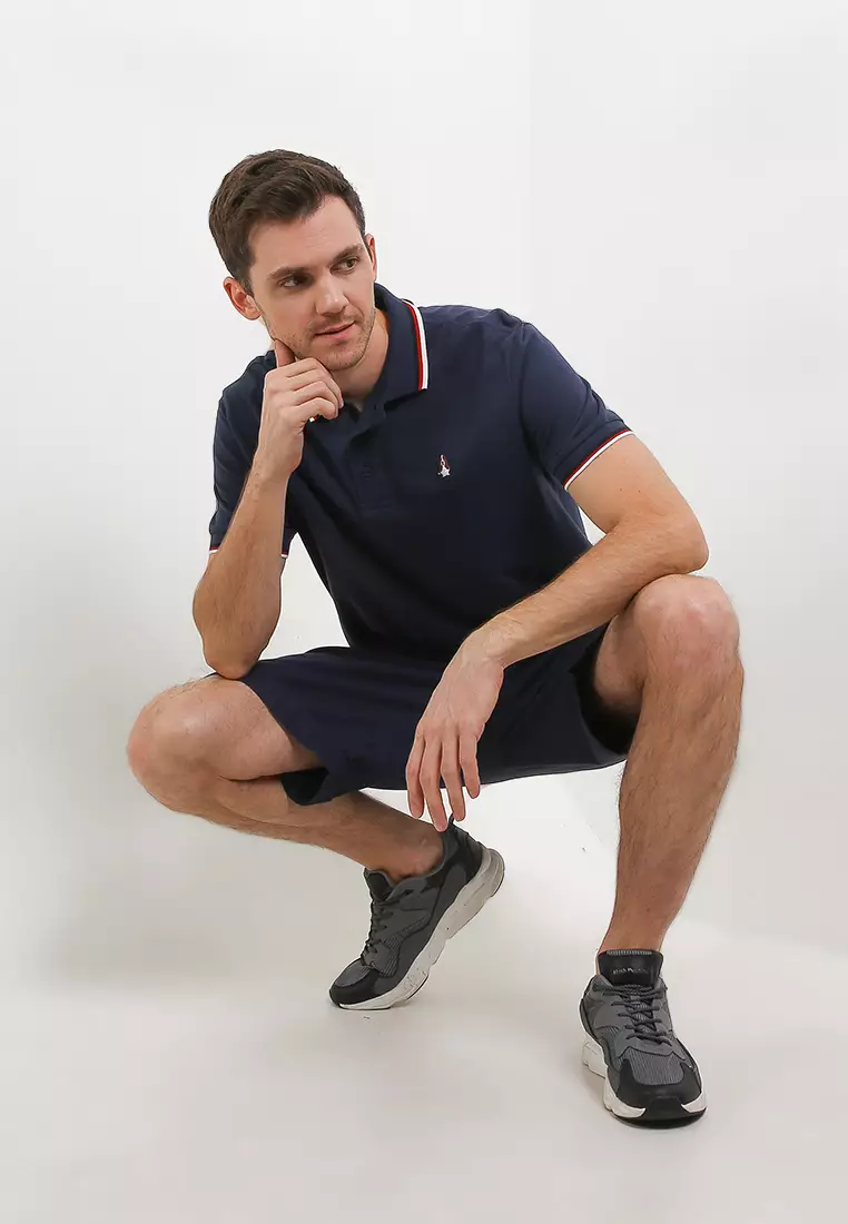 Daumier Stripe Flatknit Polo Shirt