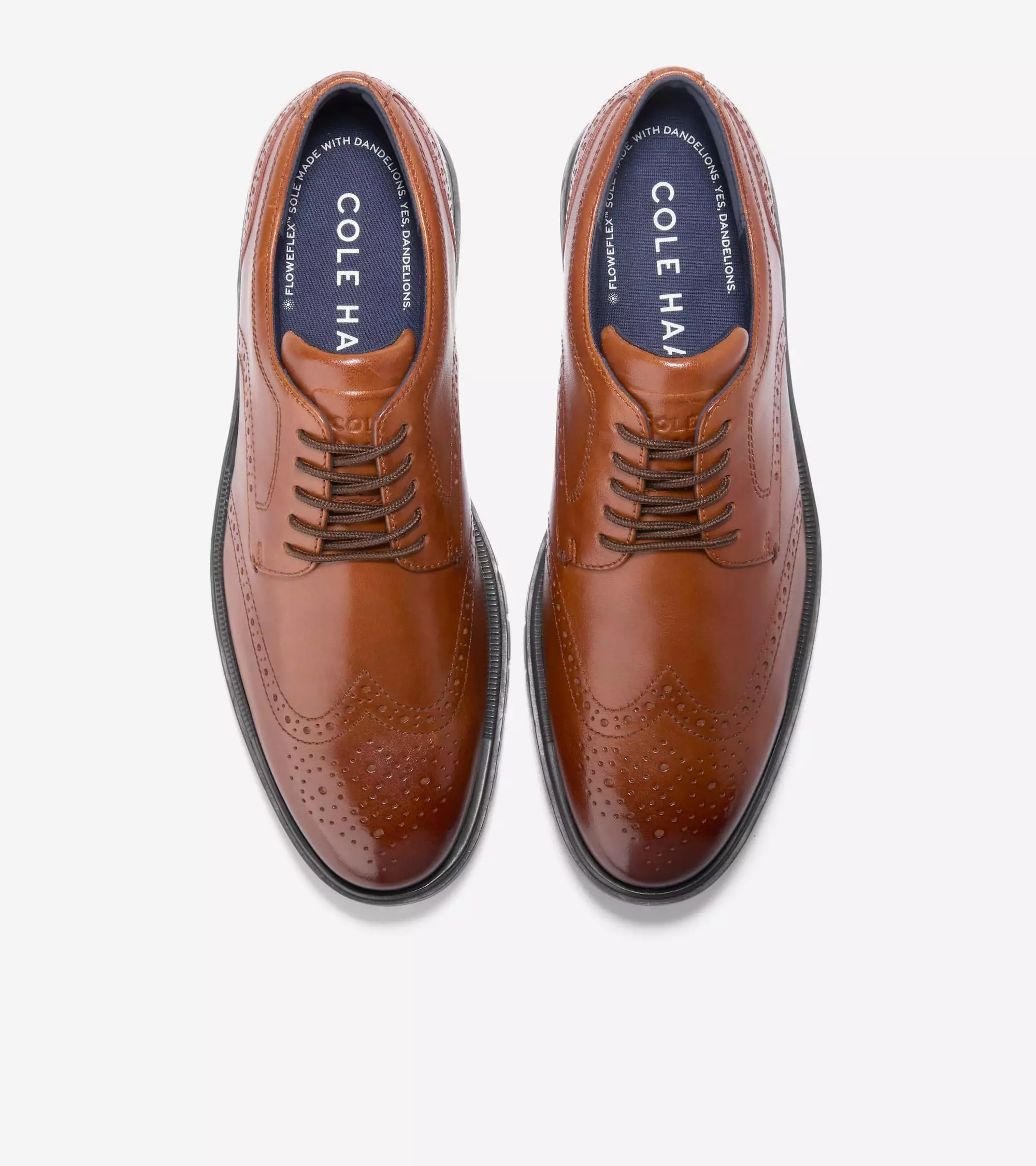 Cole Haan Man Grandflex Dress Wingtip Oxford - Sepatu Pria (Brown)