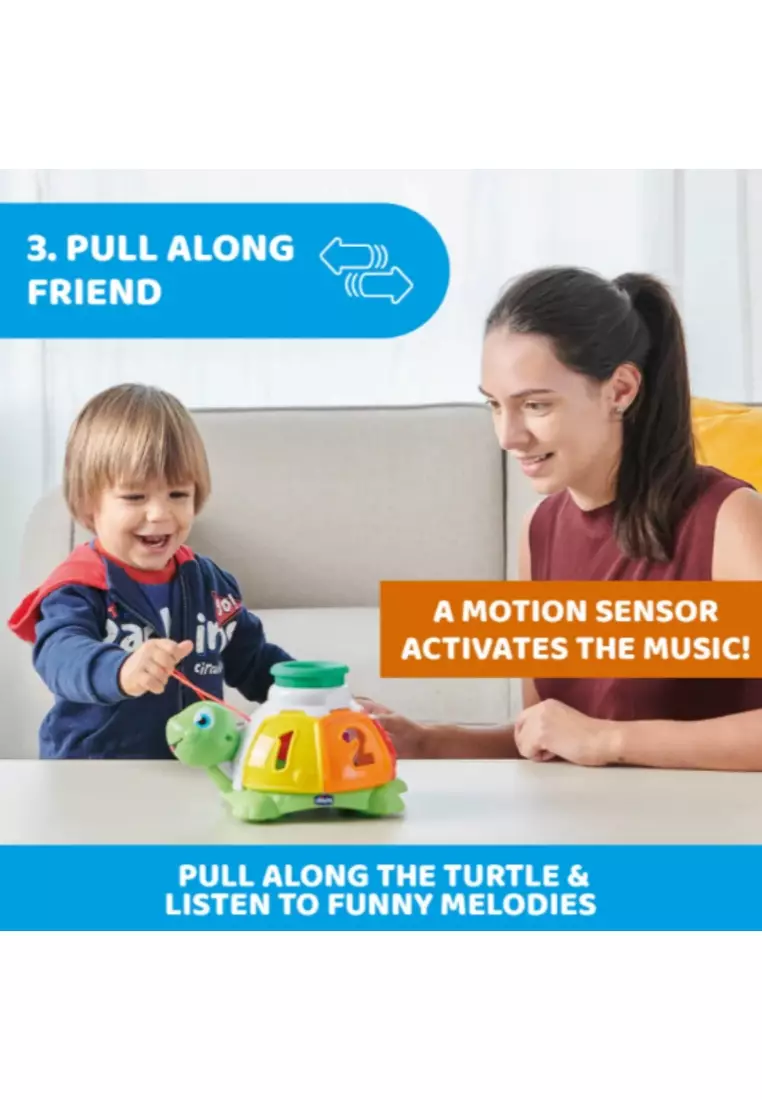 Turtle Sort & Surprise Toddler Toy