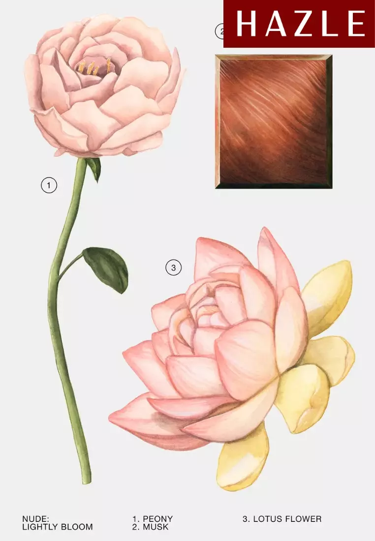 Zara Lightly Bloom Woman EDP 100 ml