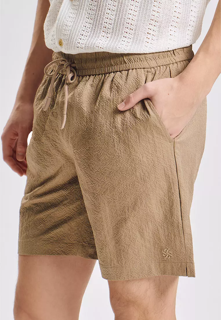 Modern Fit Swim Seersucker Shorts
