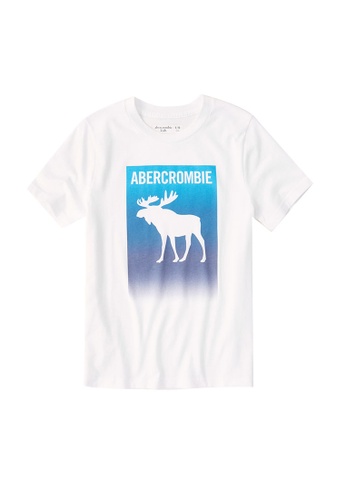 Buy Abercrombie Fitch Print Logo T Shirt Online On Zalora Singapore