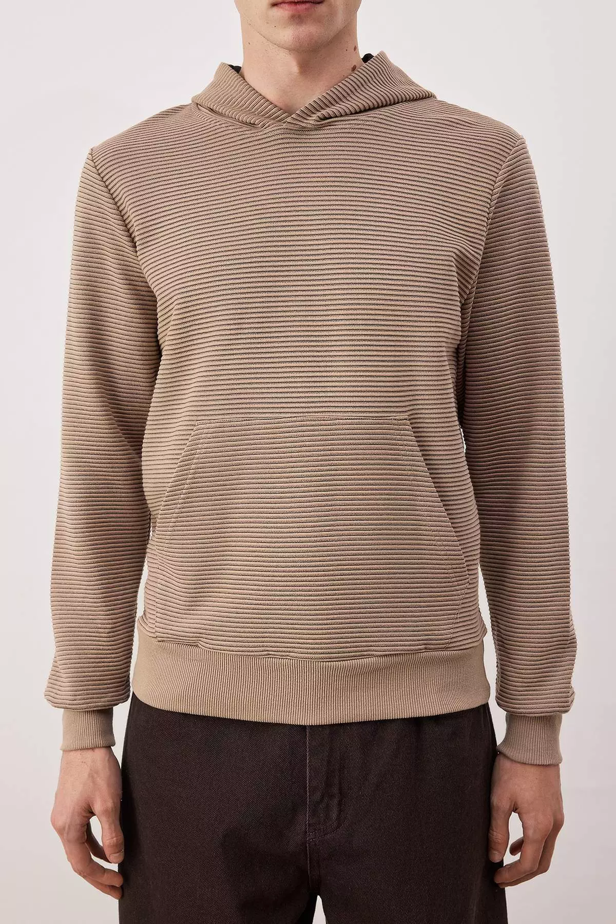 Buy Trendyol Stone Regular/Normal Cut Hooded Textured Sweatshirt ...