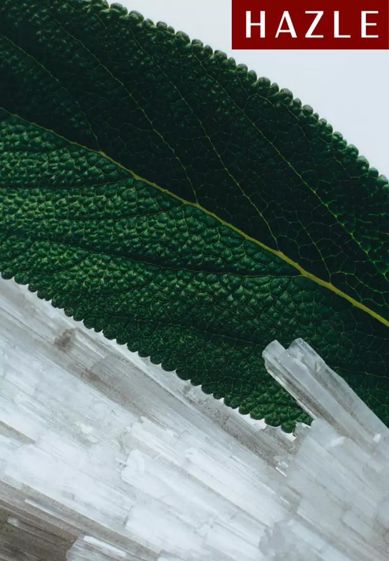 Wood Sage & Sea Salt Unisex Cologne 9 ml