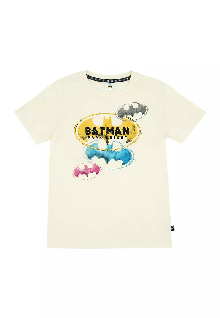 Boys Licensed Graphic T-Shirt Logos Stains