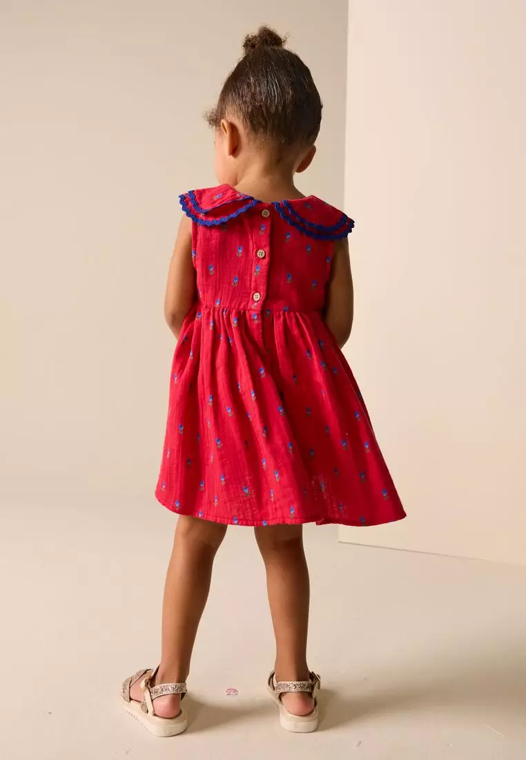 Ric Rac Collar Dress