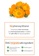 One Thing [ONE THING] Calendula Officinalis Flower Extract Toner E9E98BE7F03C05GS_3