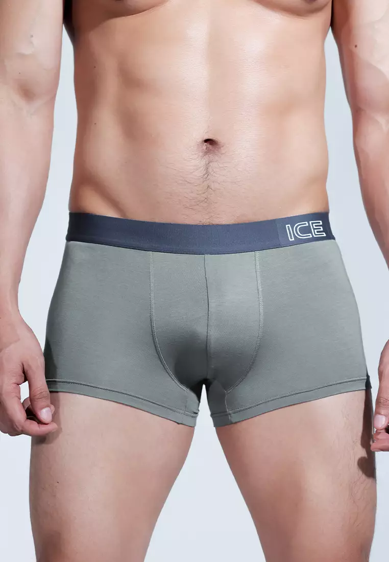 Ice Men Viscose With Spandex Men's Boxer Briefs Dusty03 - Sedona Sage (Single Pack)