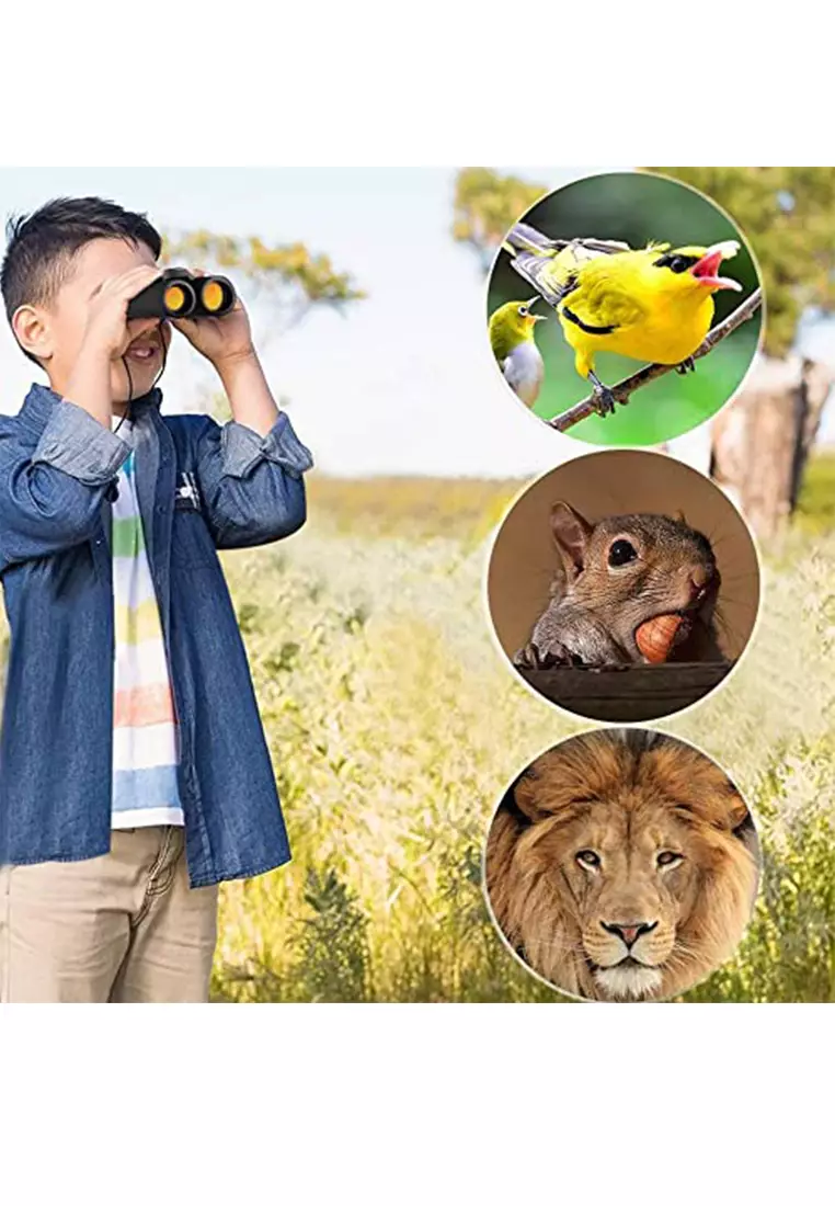 MasterTool 30 x 60 Mini Binoculars, Grey 2023 Buy MasterTool Online