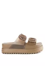 Light Brown/Brown