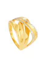 Yellow and White Gold(4.00G)