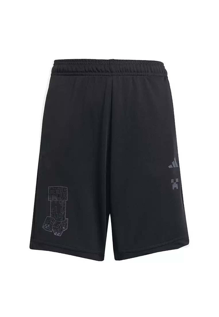 Minecraft Training Shorts