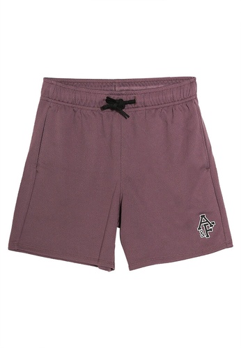 Abercrombie & Fitch purple Classic Mesh Shorts 15A61KA6E6DD96GS_1