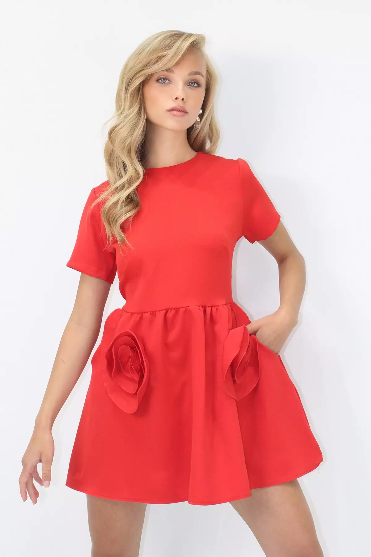 Flowers Detail Mini Dress