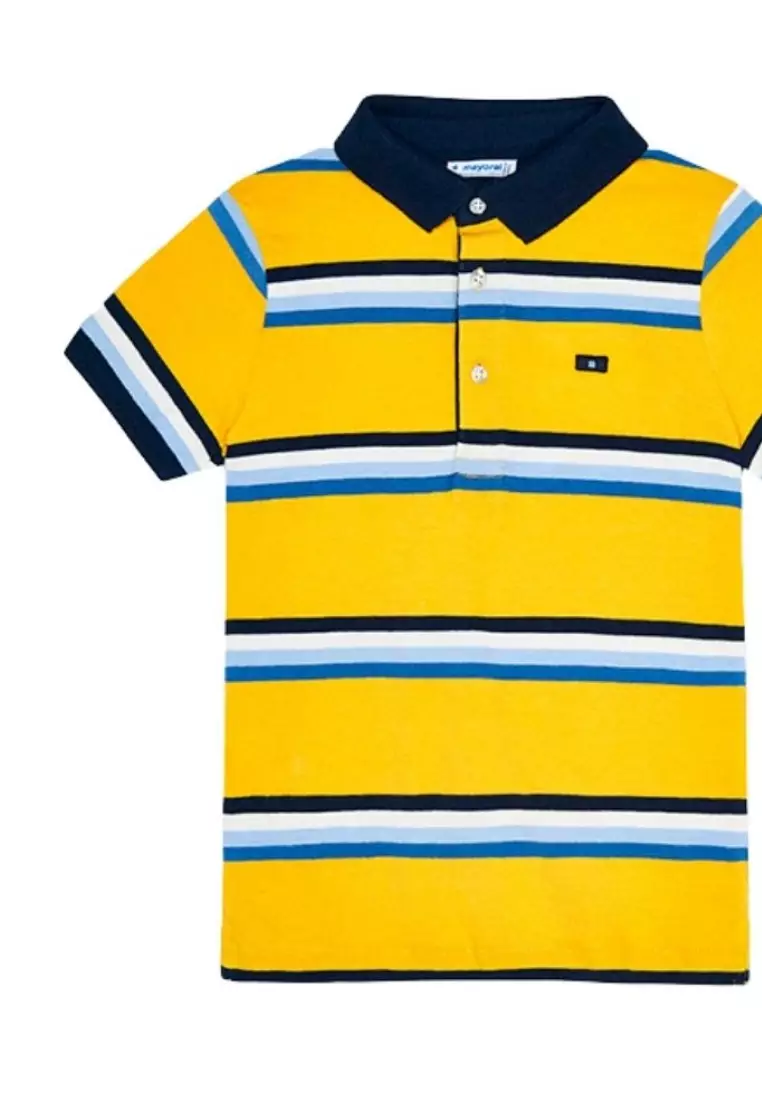 Cypresd Top
