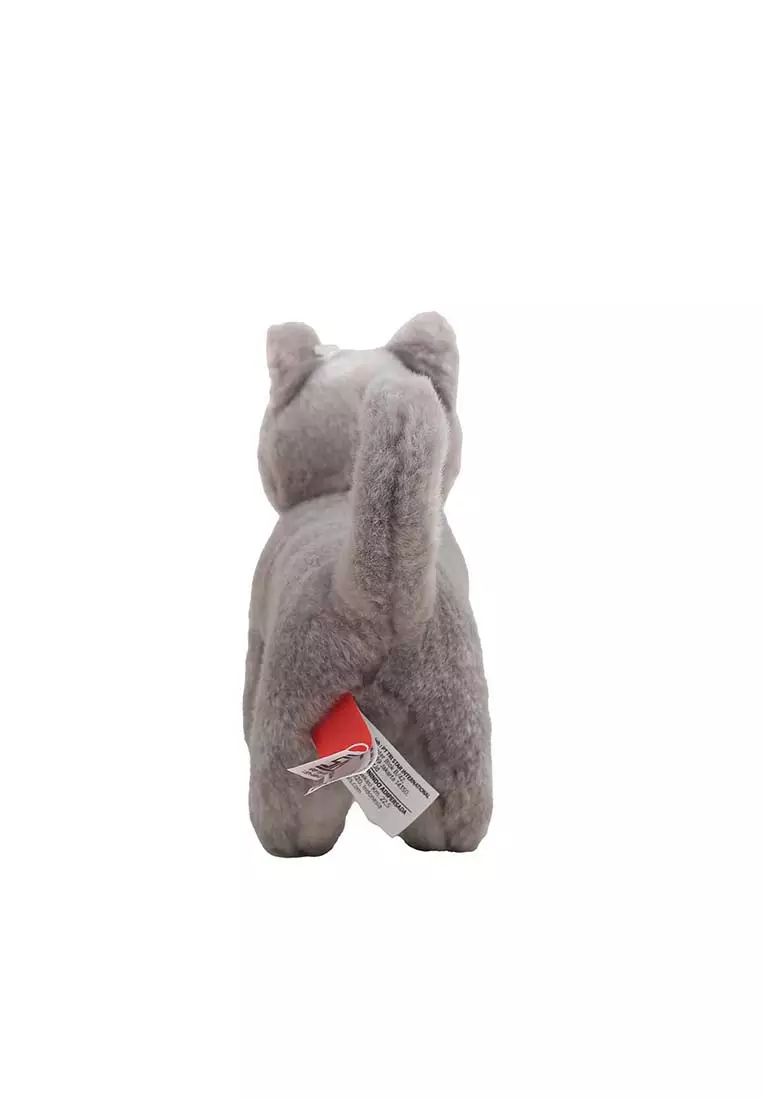 Chartreux 8 Inch