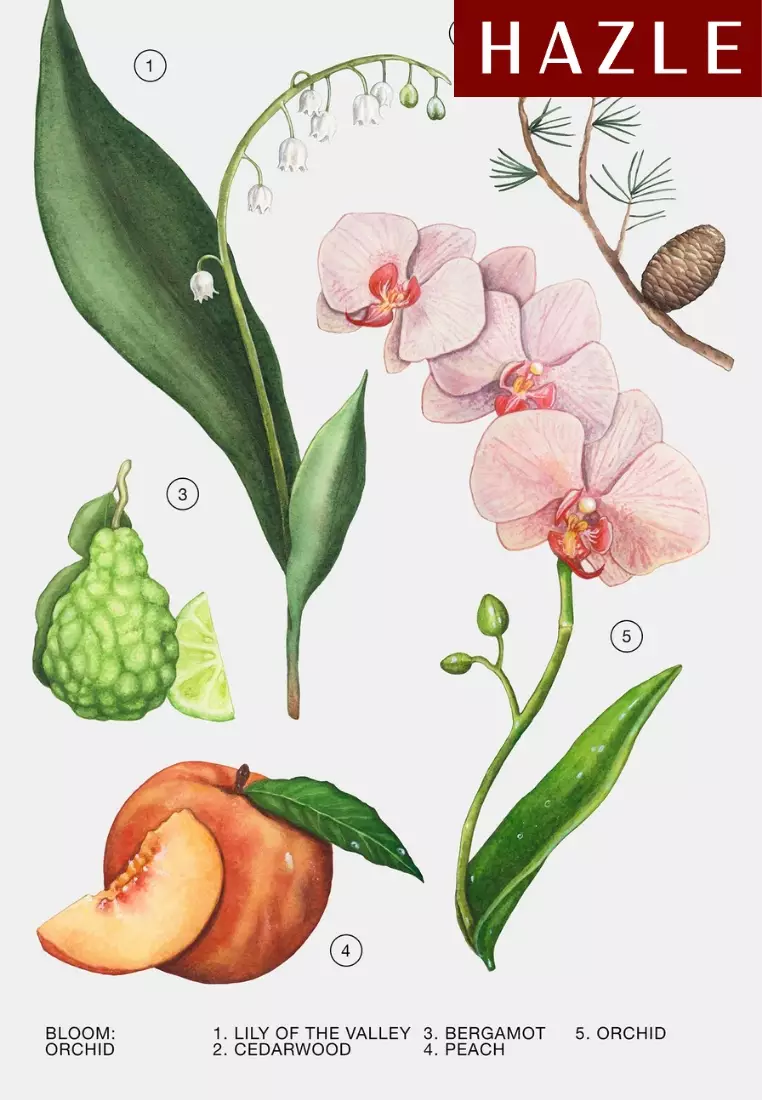 Zara Orchid Woman EDP 90 ml