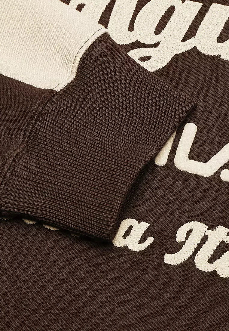 FILA CORE LIFESTYLE ORIGINAL VINTAGE TENNIS CLUB Men Hoodie (Brown)