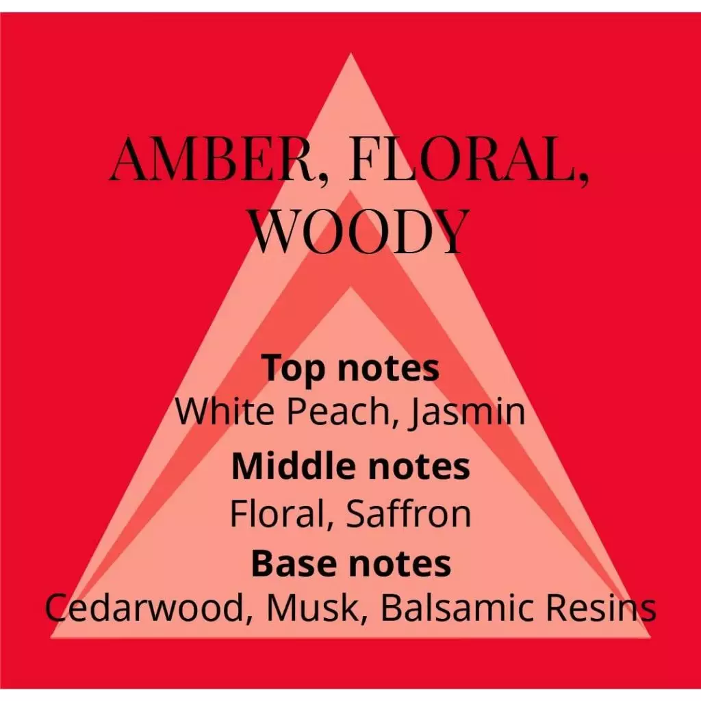 Perfumer's Choice Homme Phoenix Men EDP 83ml - Parfum Pria