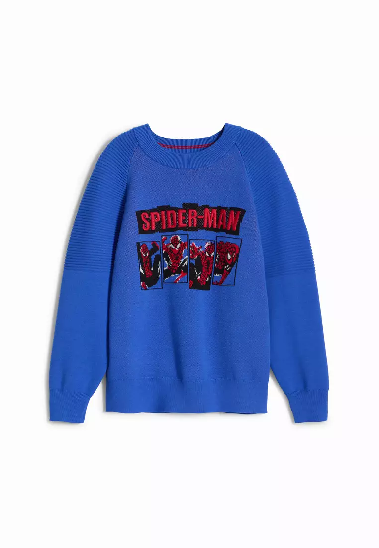 Desigual Niños Spiderman sweatshirt without hood.