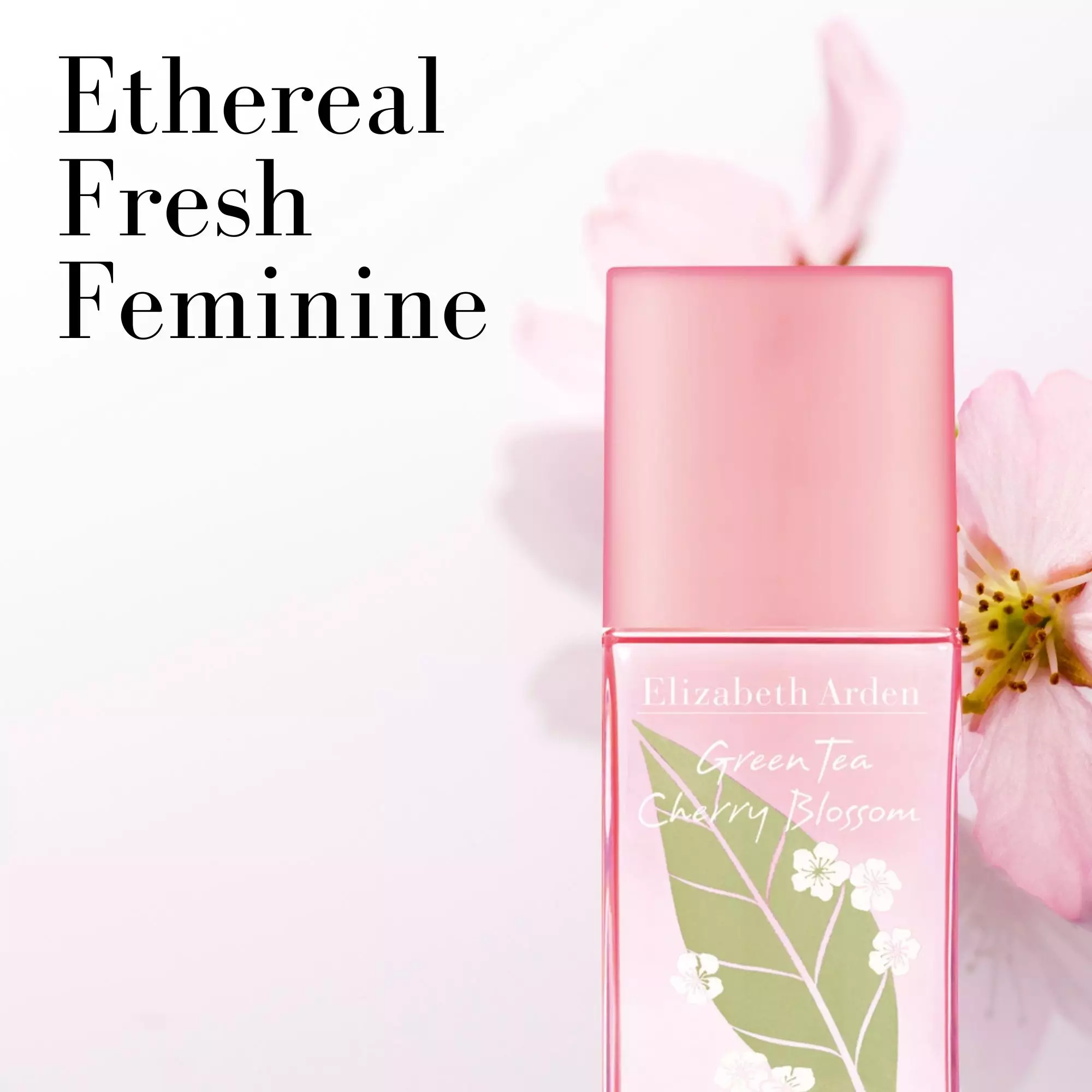 Buy Elizabeth Arden Elizabeth Arden Fine Fragrance Mist Duo Set Green