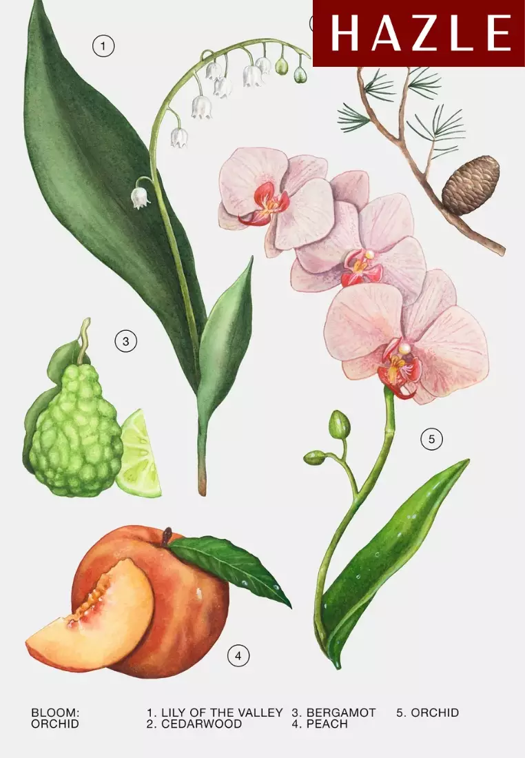 Zara Orchid Woman EDP 30 ml