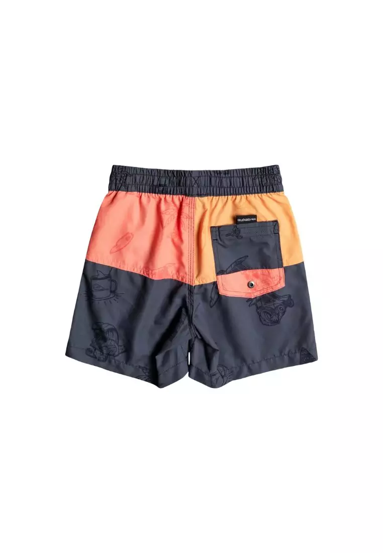 Quicksilver on sale boys shorts