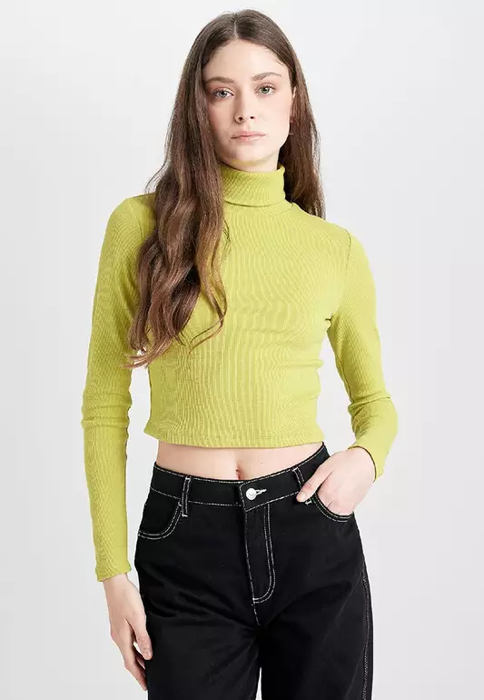 Crop Turtleneck Top
