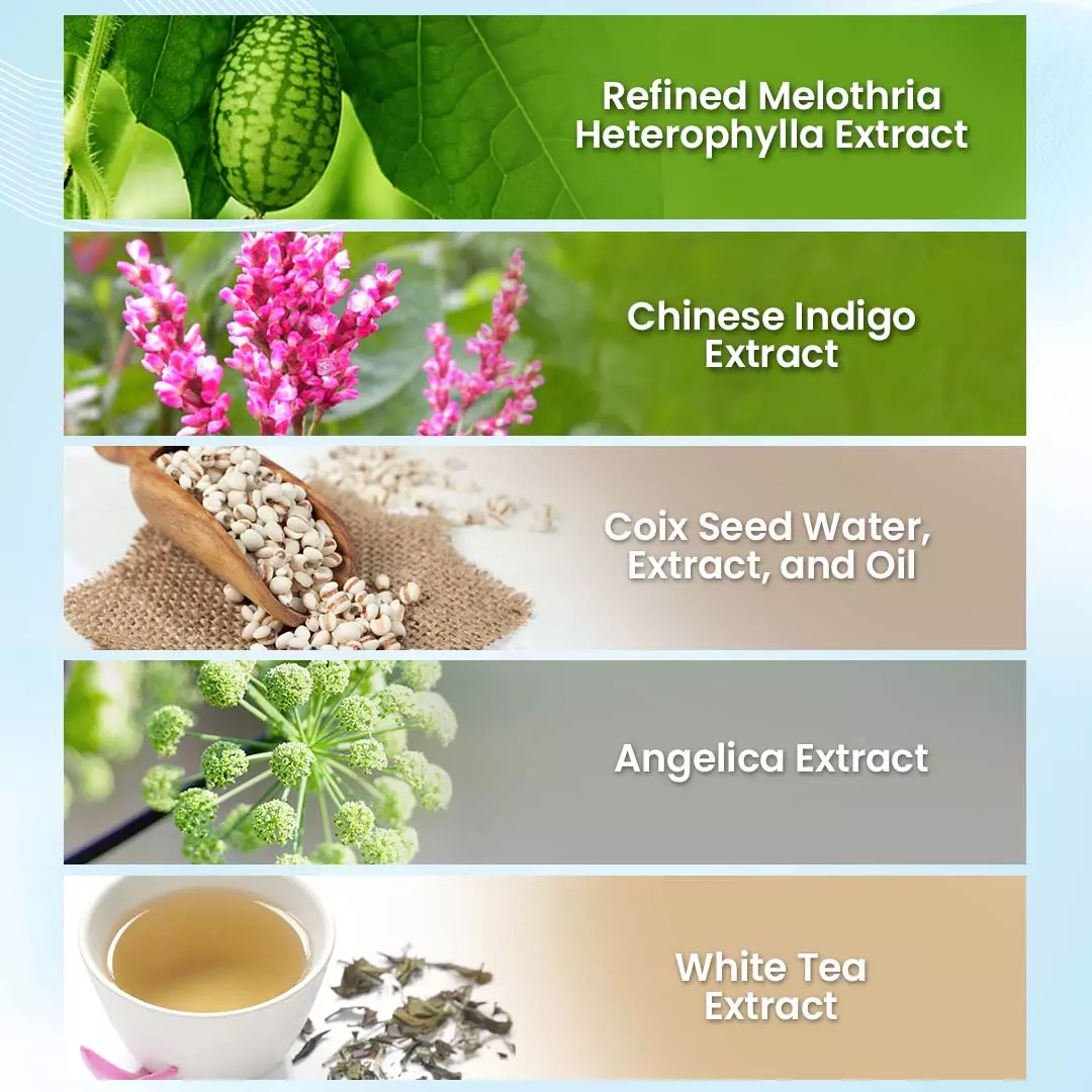 KOSE Sekkisei Supreme Moisturizer II - 140ml