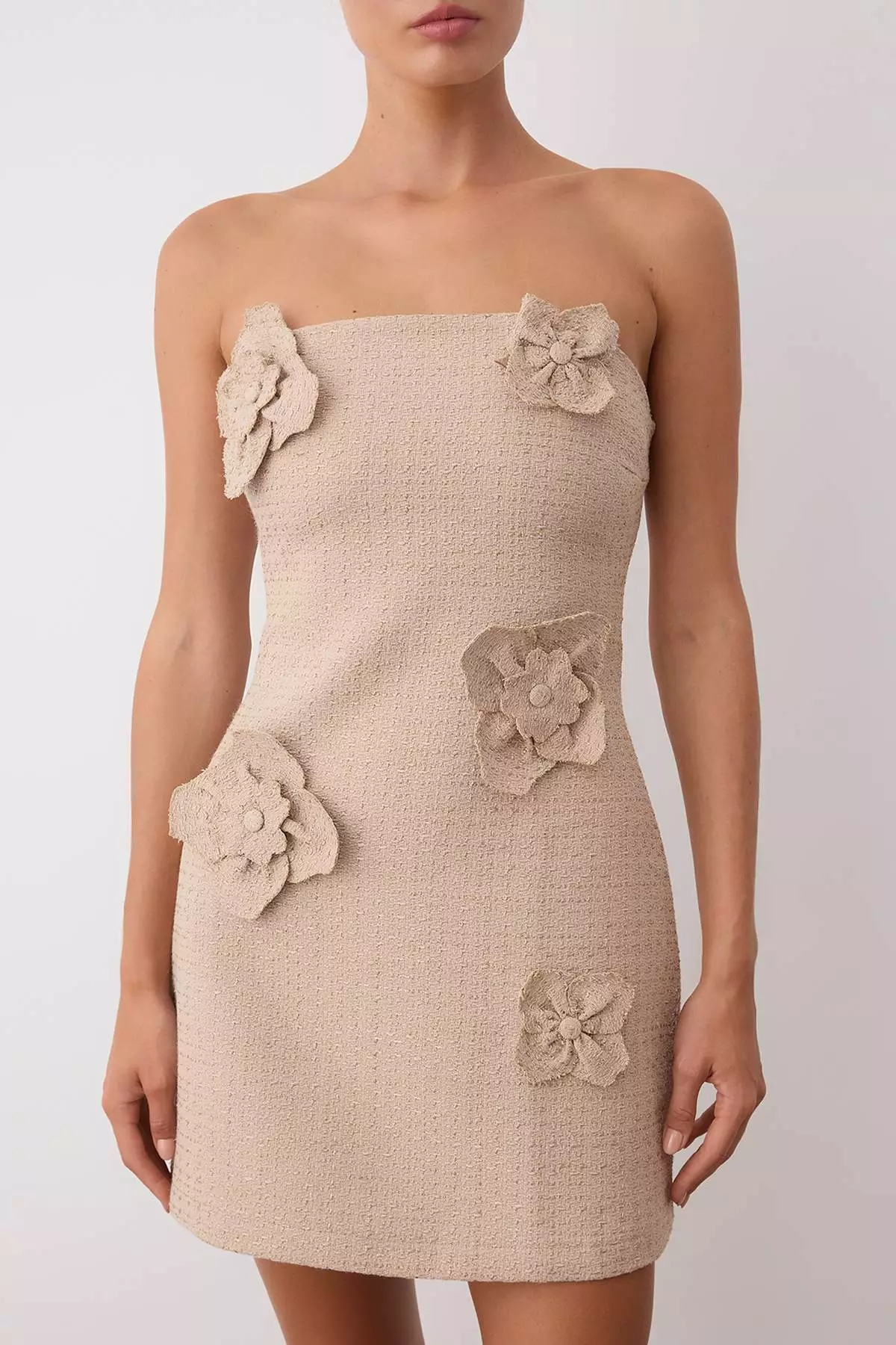 Mink Plain Applique Flower Detailed Woven Tweed Short Mini Dress Tpraw26El00036