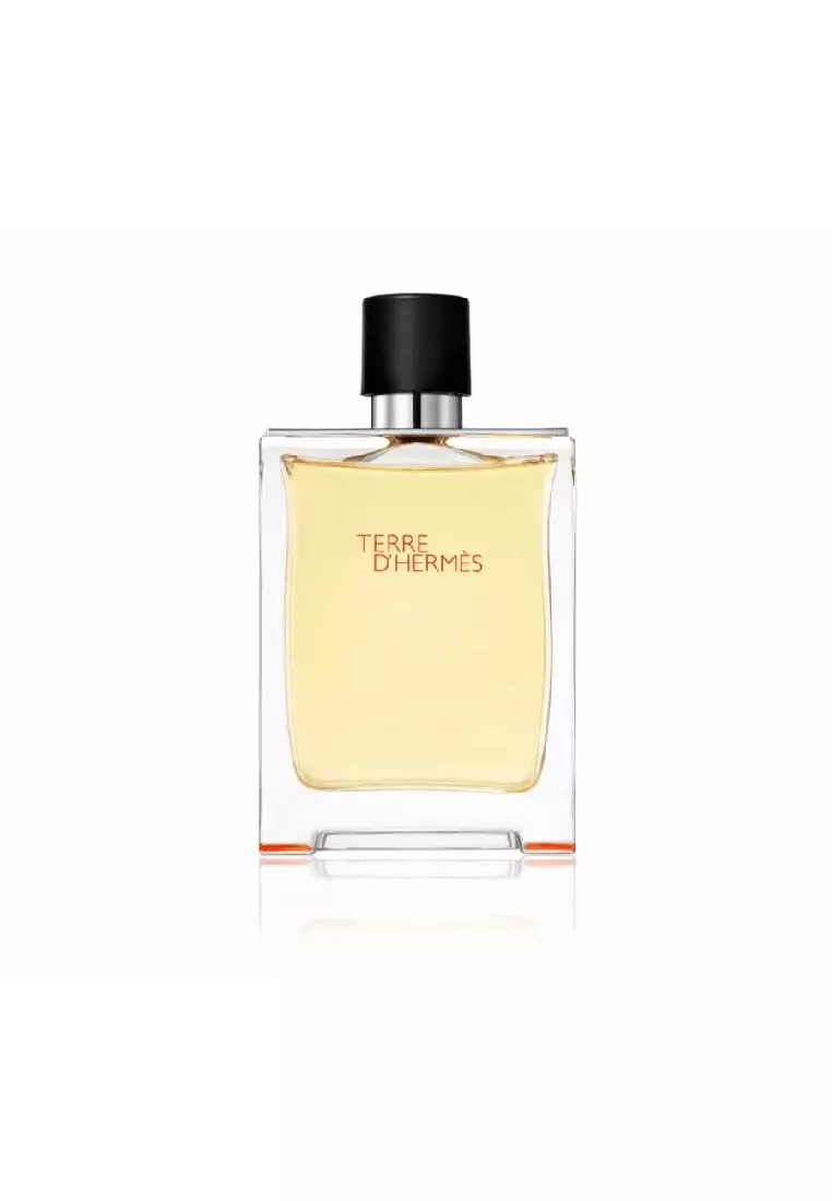 Hermes Terre D Hermes EDT Man - 100 ML (Parfum Pria)
