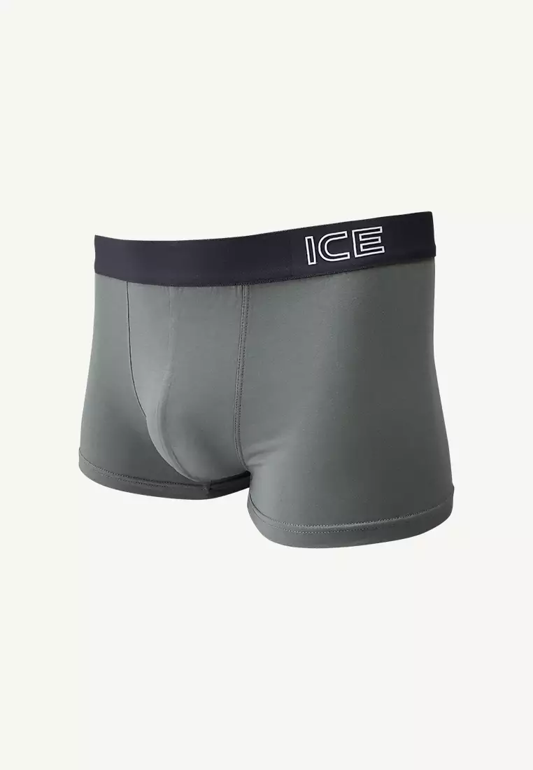 Ice Men Viscose With Spandex Men's Boxer Briefs Dusty03 - Sedona Sage (Single Pack)