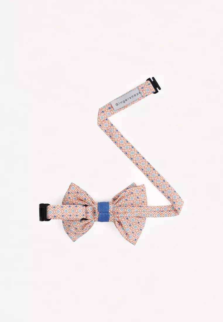 Boys Printed Geometrical Bowtie