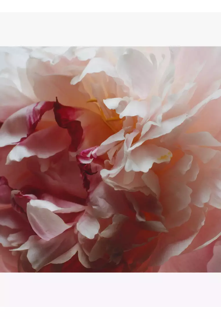 Jo Malone Peony & Blush Suede Cologne Mini 9ml