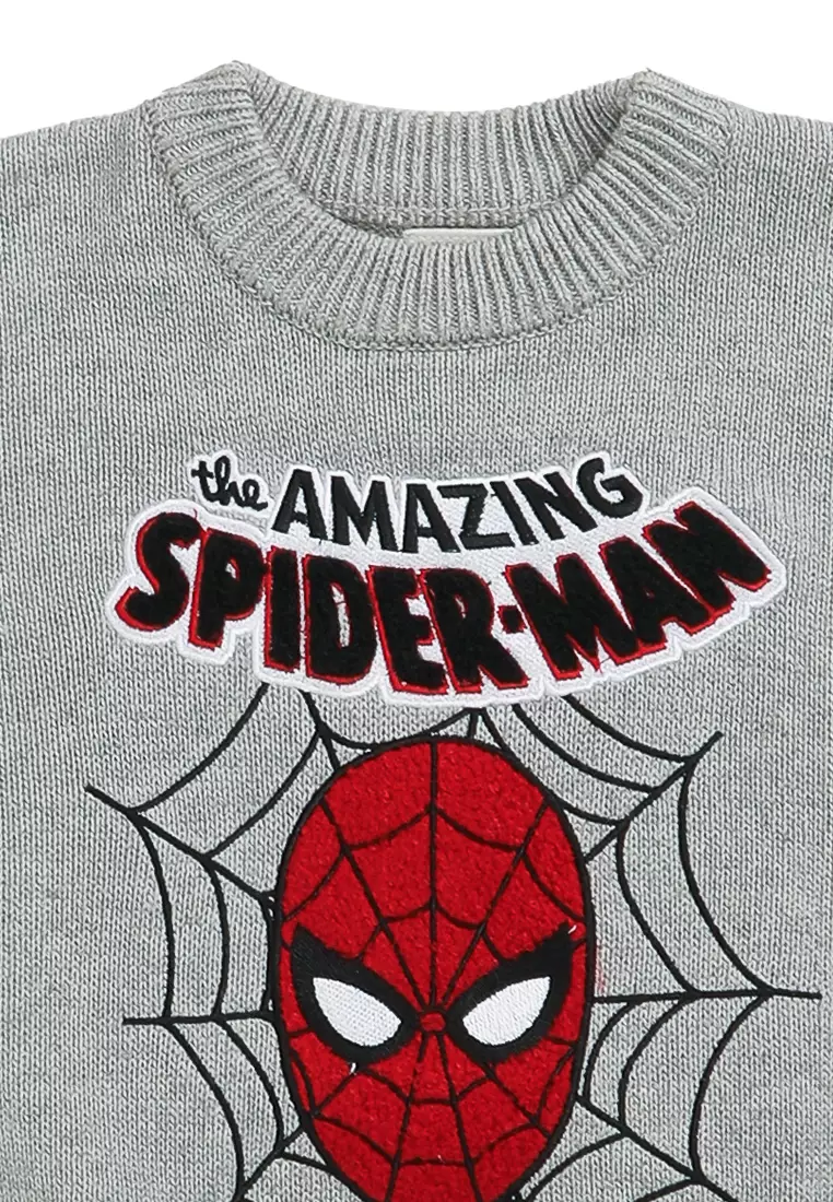 Licensed Knit Pull Over