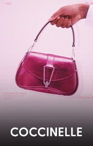 Coccinelle