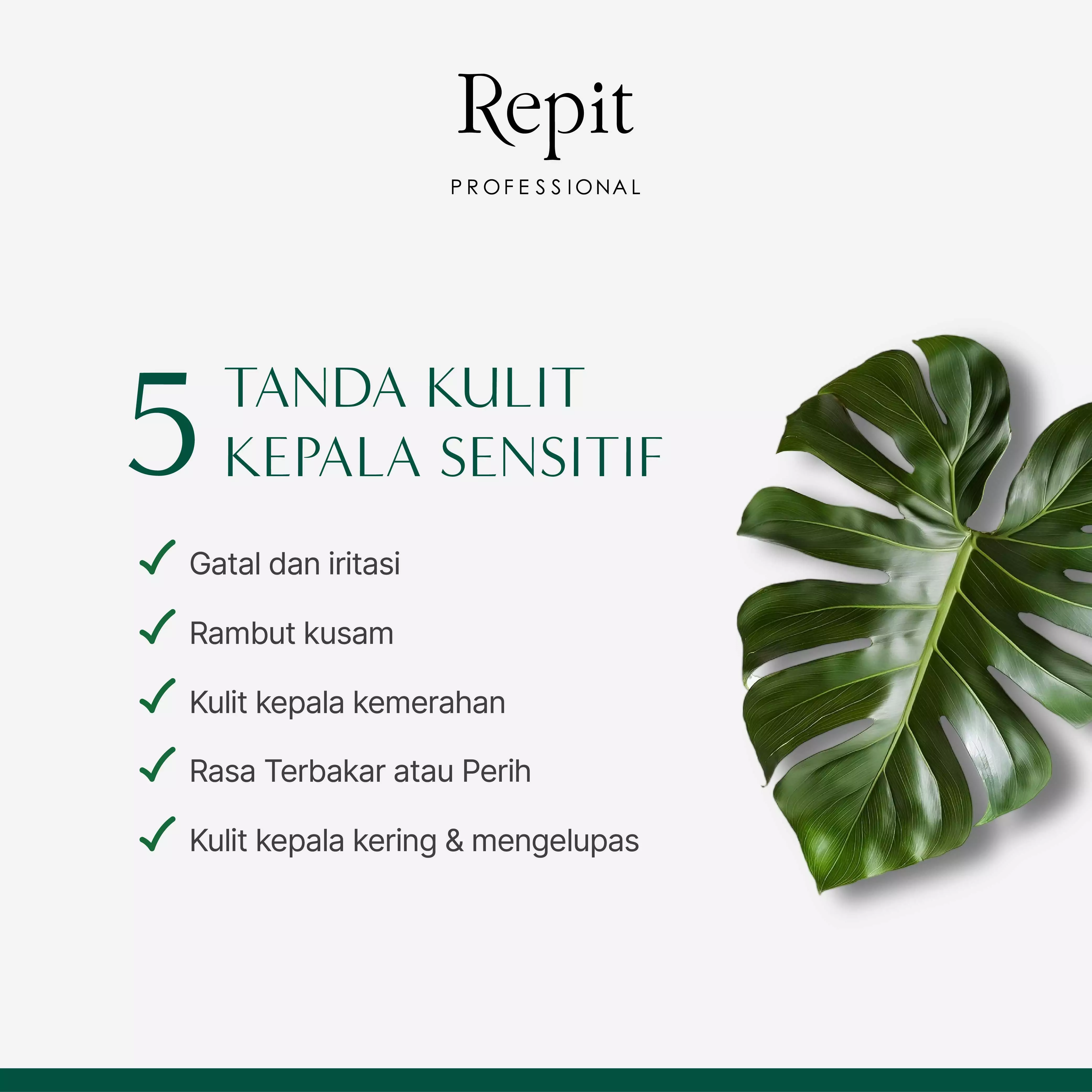 Repit Amazon Story Monspa Relaxing Shampoo - Shampoo Kulit Kepala Berminyak / Ketombe Basah / Rambut Rontok (Rambut Diwarnai)