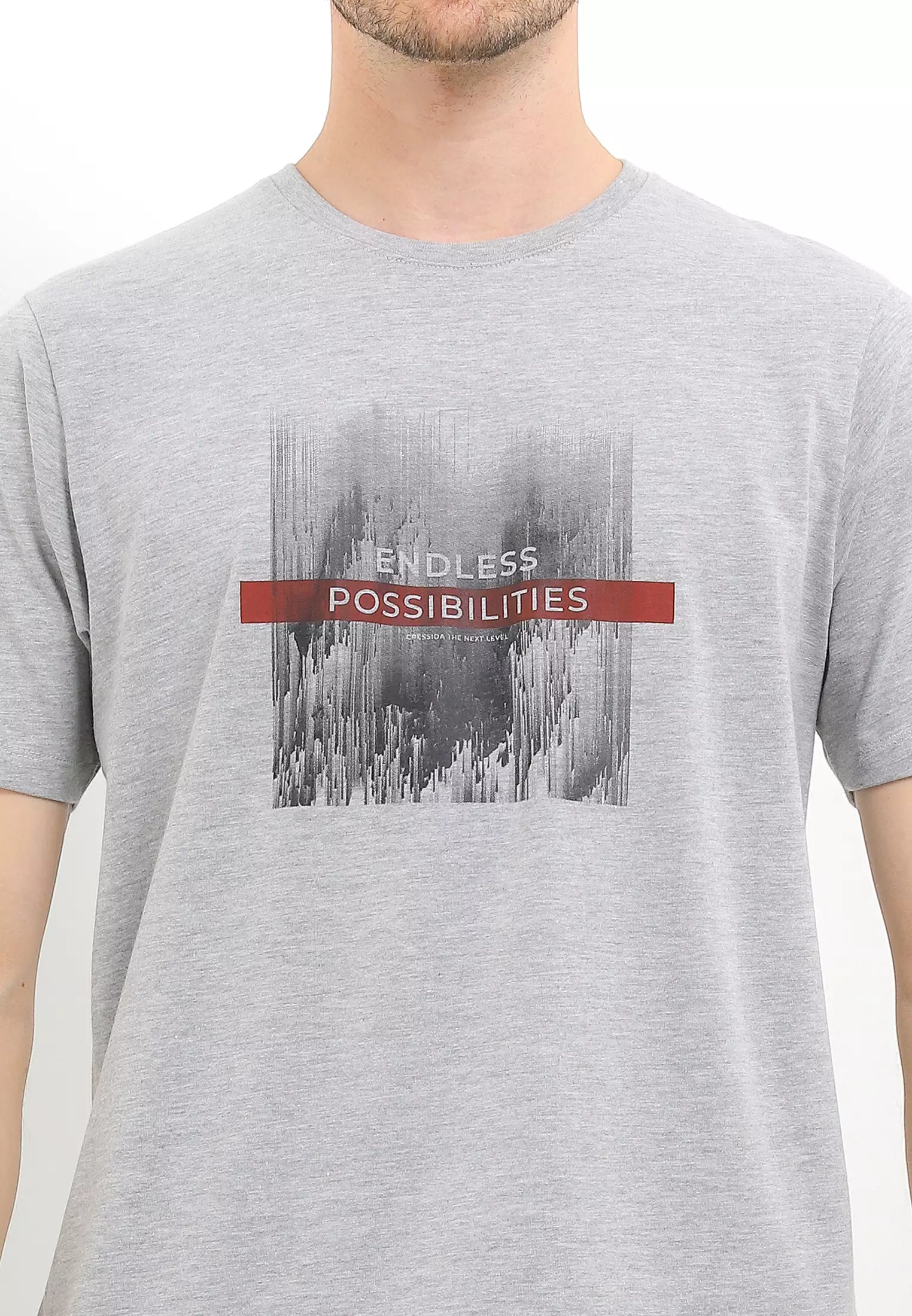Cressida Regular Fit Graphic T-Shirt B010A - Grey
